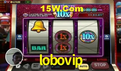Security Systems lobovip