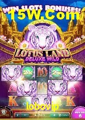 Tennis Betting lobovip